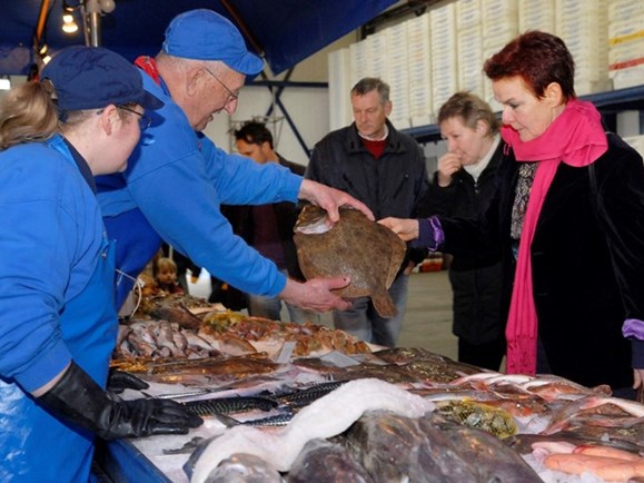 zeeverse vismarkt wieringen