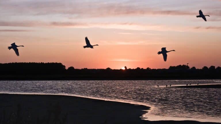 Afslag Huisduinen