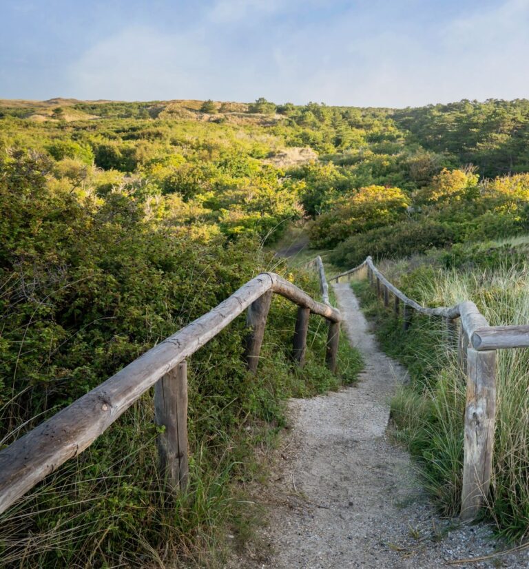 Texel De Dennen