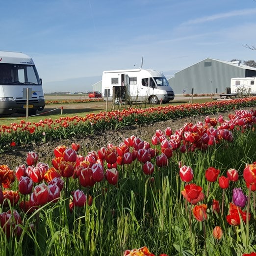 Wohnmobilroute entlang der Tulpen
