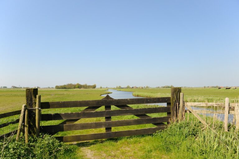 polder noord-holland