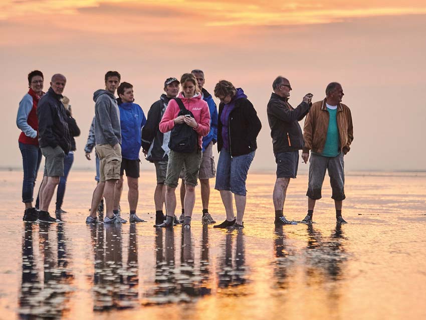 wadlopen de groot recreatie