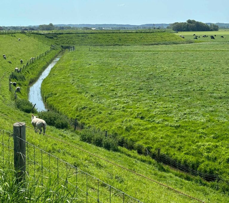 Fietsen Noord-Holland: Westfriese Omringdijk | Visit Kop van Holland