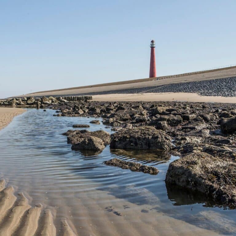 Fietsen rondje Den Helder | Visit Kop van Holland