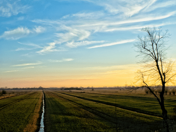 Wandelen in Hollands Kroon: polder route | Visit Kop van Holland