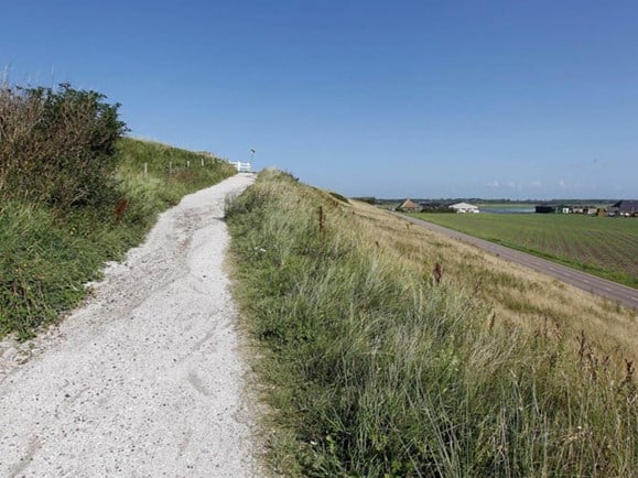 Wandelroute Noord-Holland: Helderse Duinen | Visit Kop van Holland