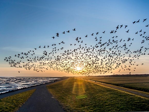 Wandelroute Noord-Holland: Zandpolder | Visit Kop van Holland