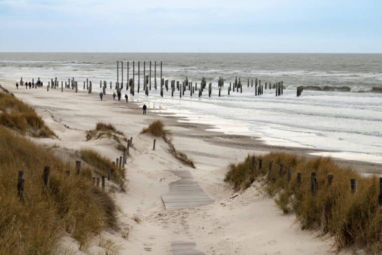 uitwaaien strand petten