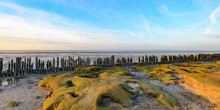 waddenzeekust