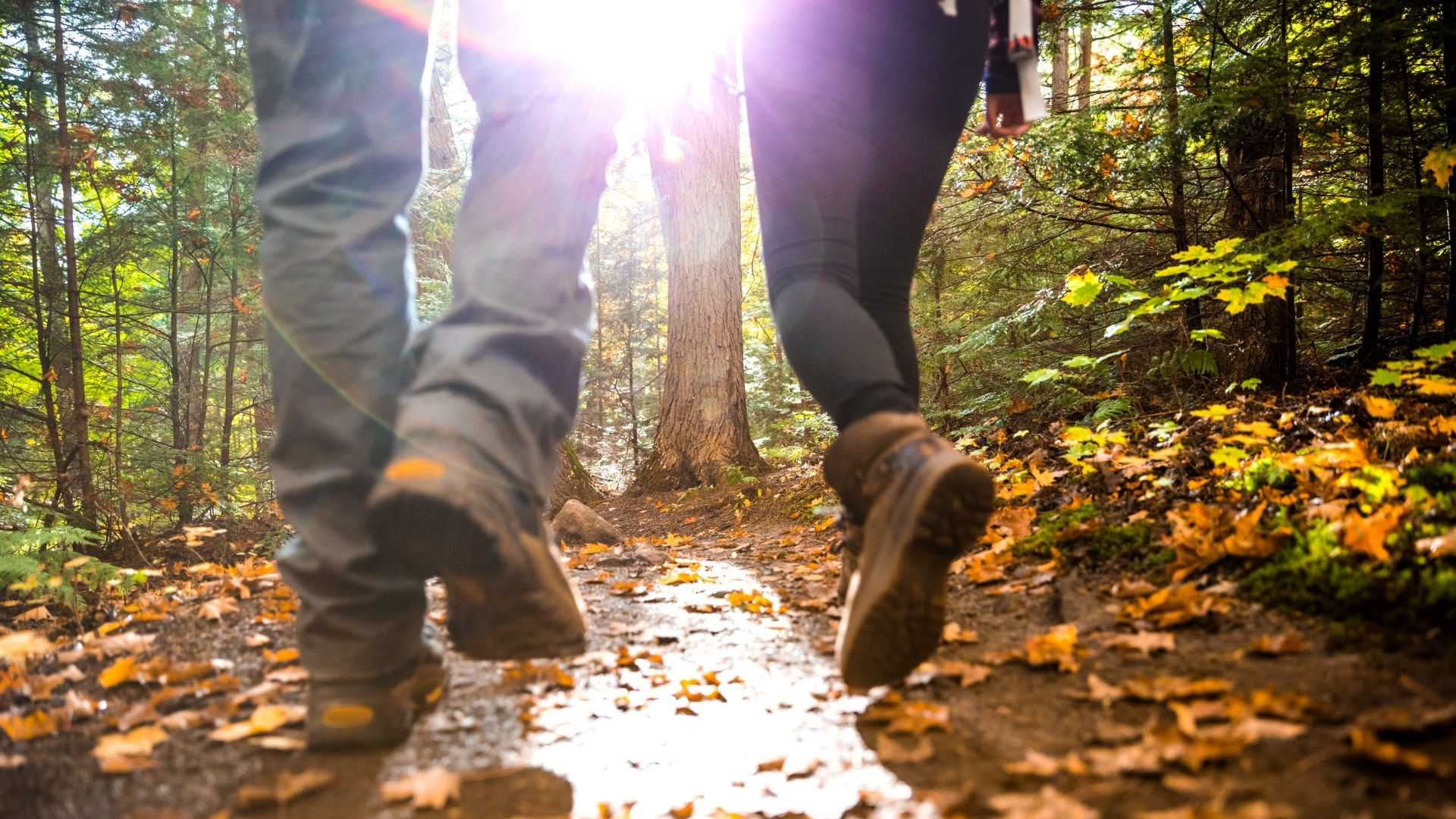 wandelen herfst