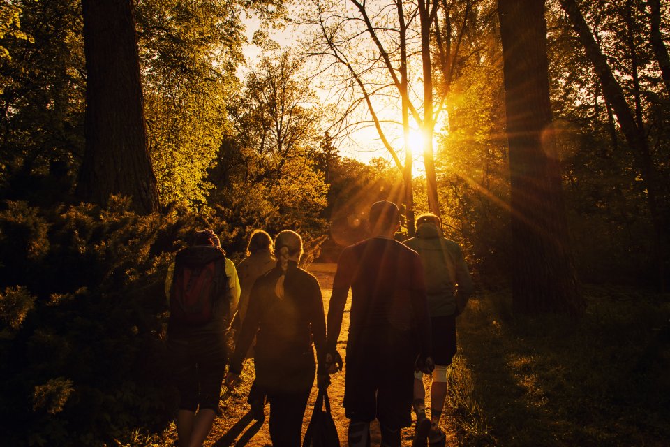 wandelen herfst