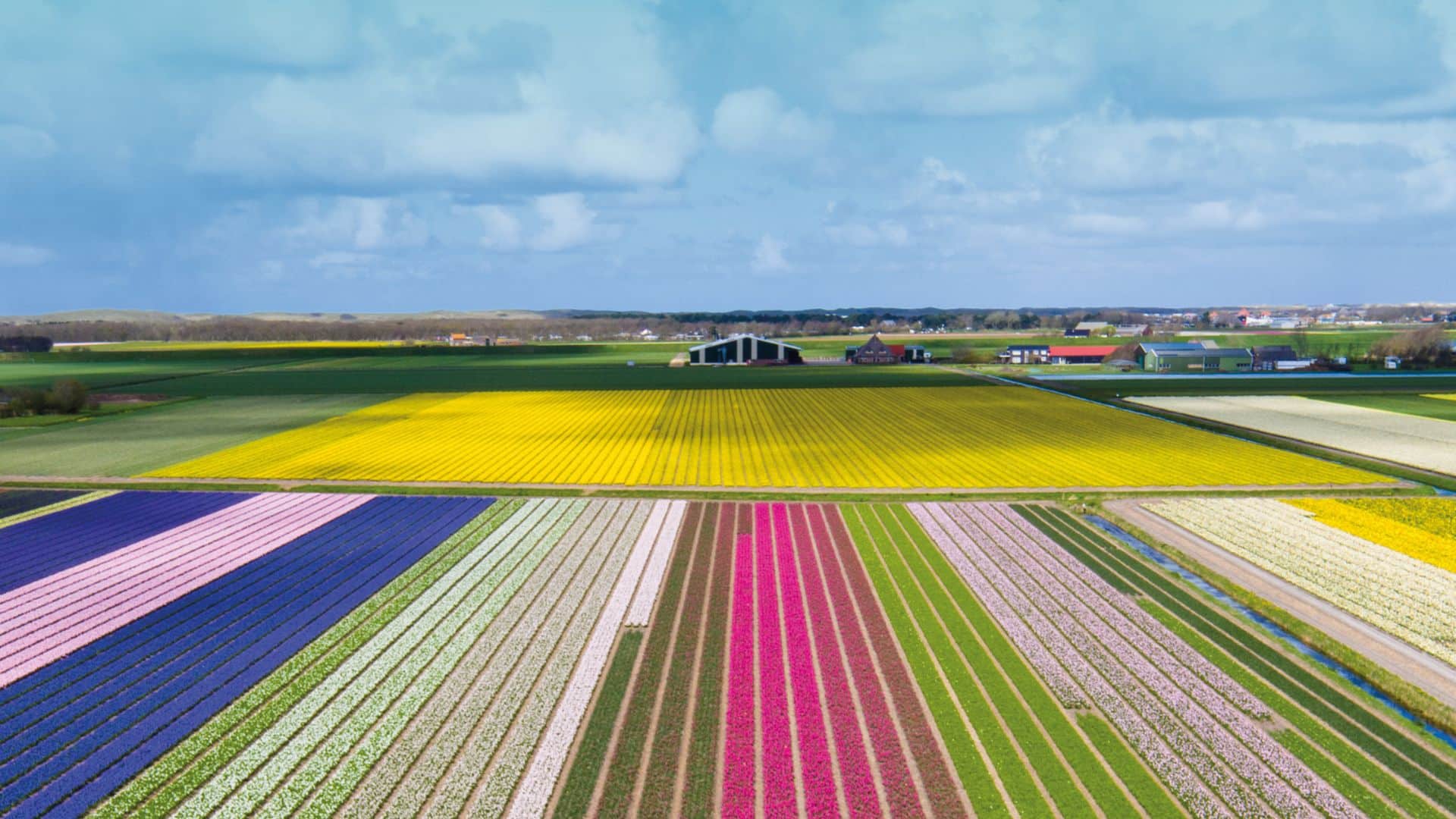 Voorjaar in de Kop header 2 | Visit Kop van Holland