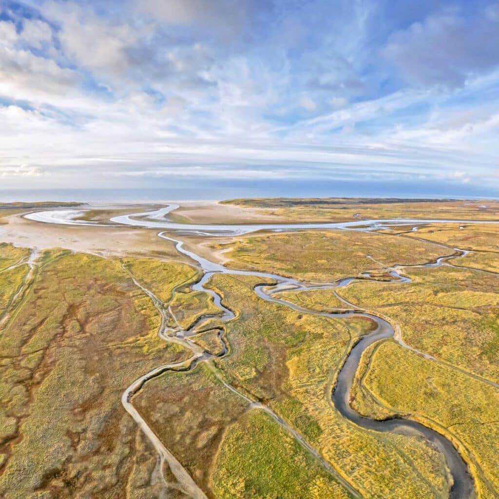Eierlandse duinen | Visit Kop van Holland