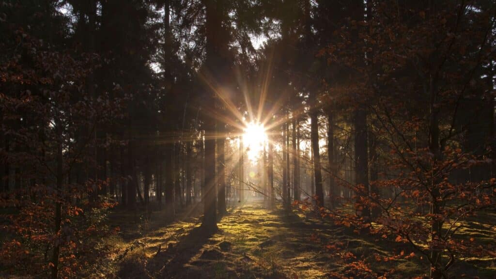 Herfst | Kop van Noord-Holland