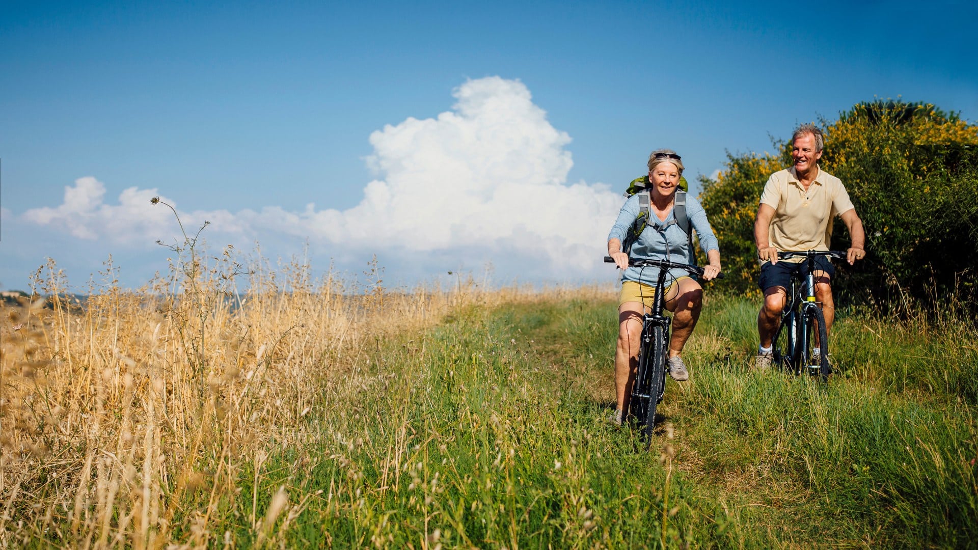 Recreatief fietsen header 3 | Visit Kop van Holland