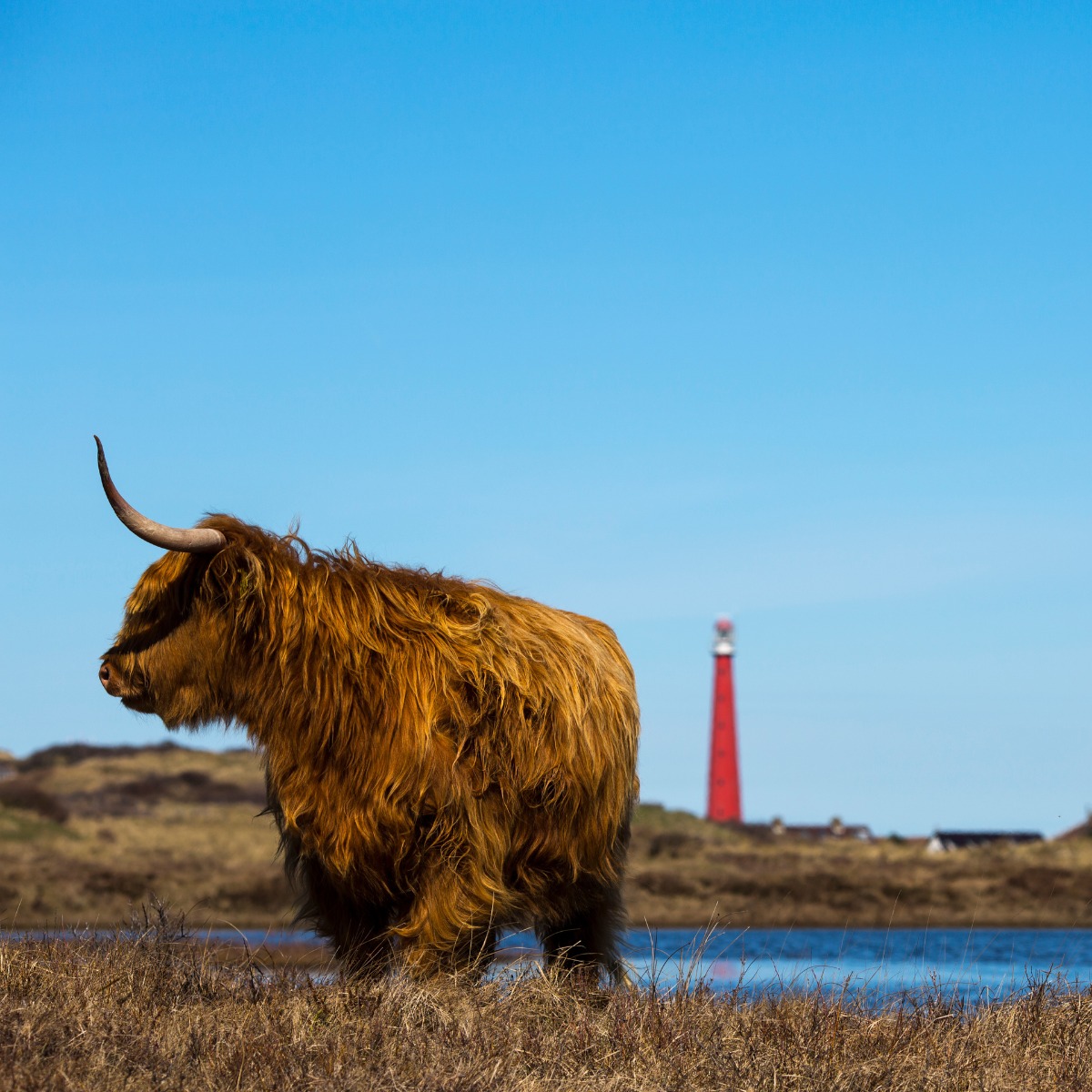 Den helder te doen | Kop van Noord-Holland