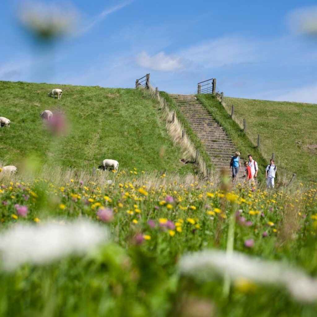 Dagje weg Hollands Kroon