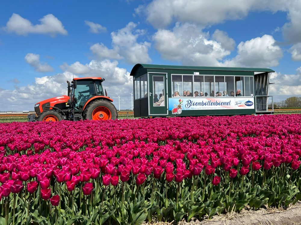 Bloembollenboemel
