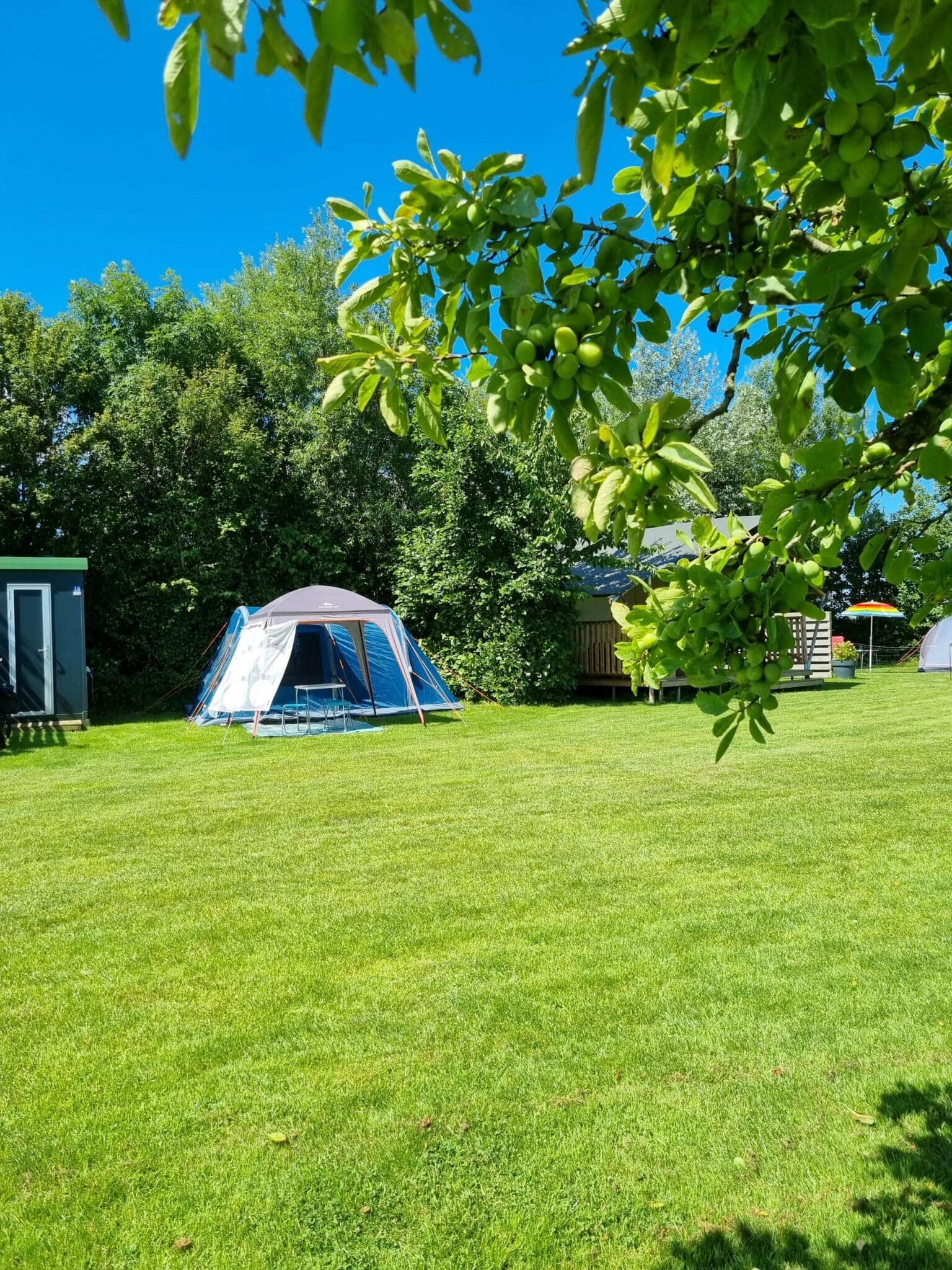 camping de tulpenweide
