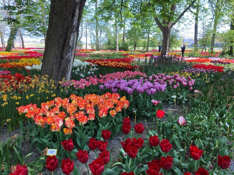 Poldertuin Fotograaf: Danielle van der Ploeg