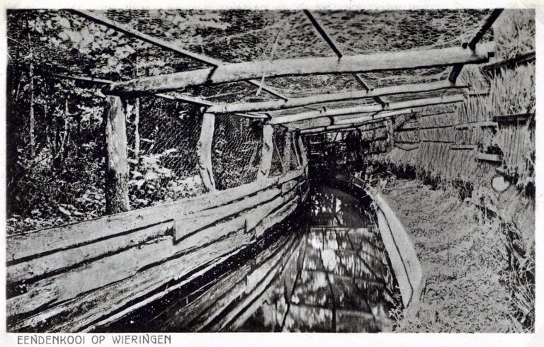 Eendenkooi Hoelmerkoog, juli 1925. Bron: Historische Vereniging Wieringen