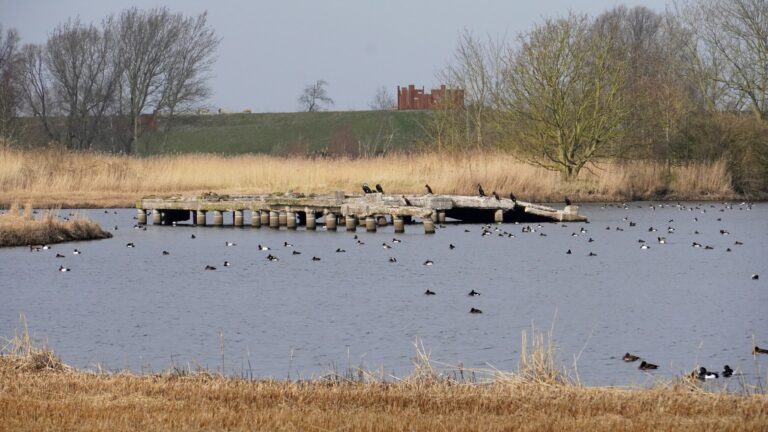 gat in de dijk wieringermeer