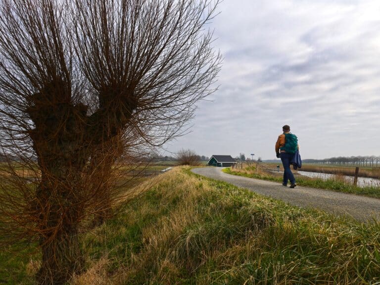 wierdijk westerland